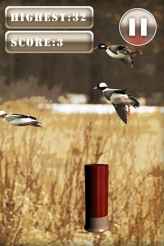 3D Duck Hunt-ing Shot-Gun Juggle Game for Free - náhled