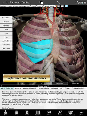Respiratory Anatomy Atlas: Essential Reference for Students and Healthcare Professionals screenshot 10