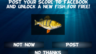 Spearfishing 3D screenshot 5