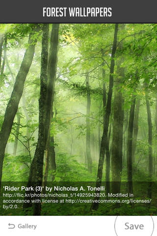 Forest Wallpapers - náhled