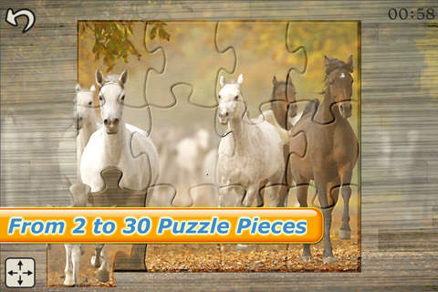 Mighty Horses - Real Horse Picture Puzzle Games fo - náhled
