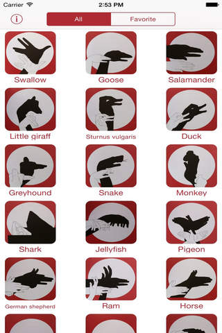 Hand Shadow Guide - náhled