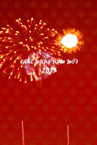 Pháo Hoa Chúc Tết 2015 - náhled