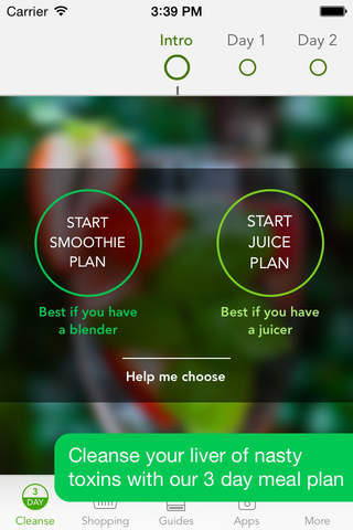3 Day Cleanse - High Raw Food Meal Plan - náhled