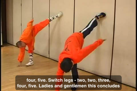 Shaolin Kung Fu Training - náhled