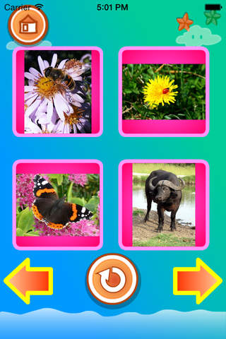 Toddler - Animals for kids - náhled