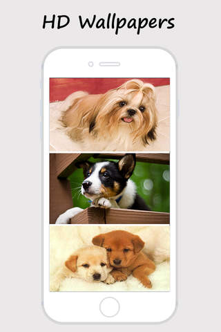 Cute Dogs and Puppy Wallpapers - náhled