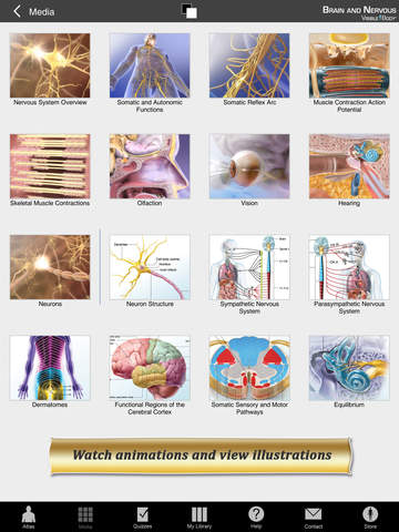 Brain and Nervous Anatomy Atlas: Essential Reference for Students and Healthcare Professionals screenshot 9