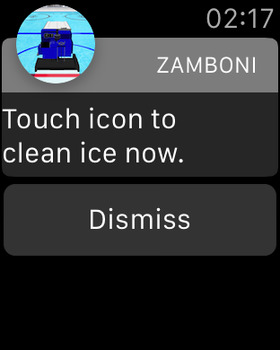 Zamboni Challenge screenshot 11