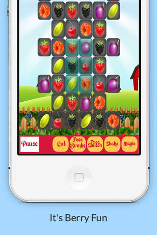 Mr Smash's Berry Blast - náhled