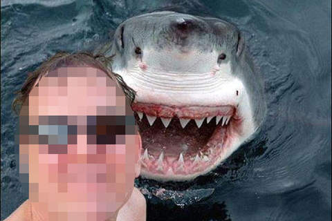 Fake Selfie - náhled