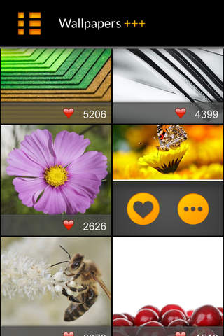 Premium Quality Wallpapers - náhled