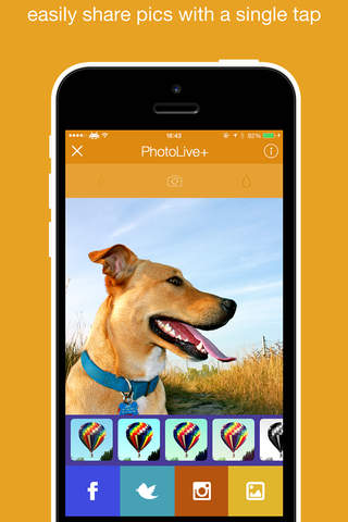 PhotoLive+ - náhled