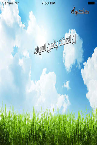 إن الحسنات يذهبن السيئات - náhled