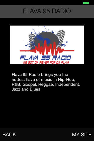 FLAVA 95 RADIO - náhled