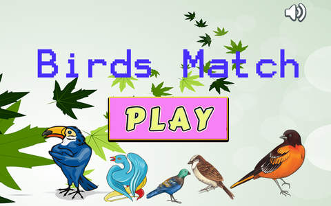 Improve Your Kids Brain With Matches Bird Cards - náhled