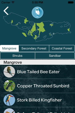 Naturing Ubin - náhled