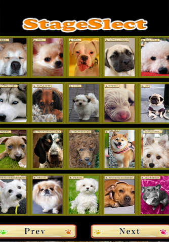 Brain Training - Aha dog picture book - náhled