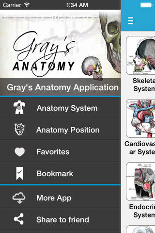 Gray's Anatomy 2014 - náhled