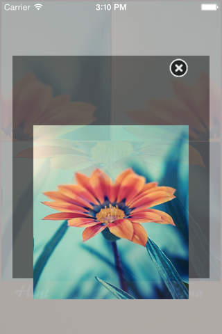 Flower Jigsaw Puzzle - náhled
