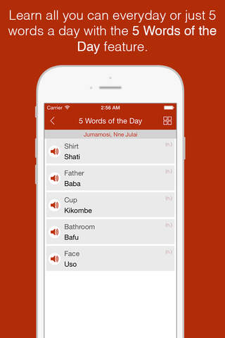 Swahili Primer - Learn To Speak And Write Swahili  - náhled