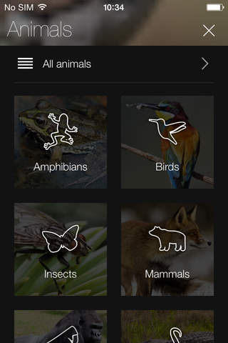 Animal Explorer Free: Sounds and Photos - náhled