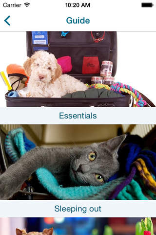 Viaggiare con Cane e Gatto - náhled
