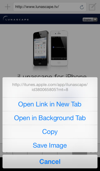 Lunascape Web Browser screenshot 4