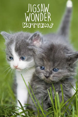 Jigsaw Wonder Kittens Puzzles for Kids Free - náhled
