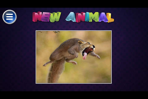 Simulator Morph Animal - náhled