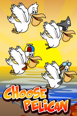 Pelican Birds Travel Season - náhled