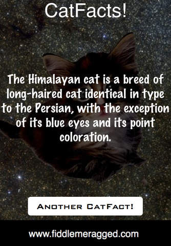 CatFacts - náhled